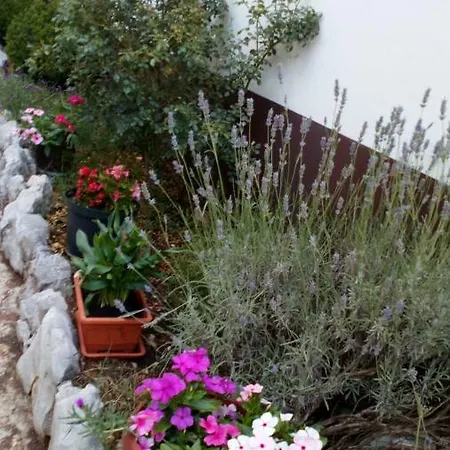 Apartament Juric -
